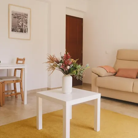 Apartment As Andorinhas *